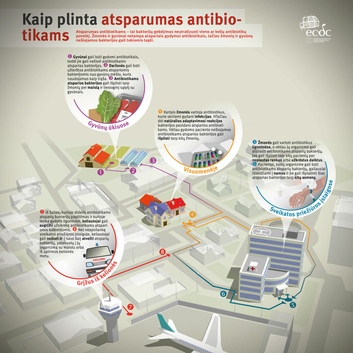 Kaip plinta atsparumas antibiotikams