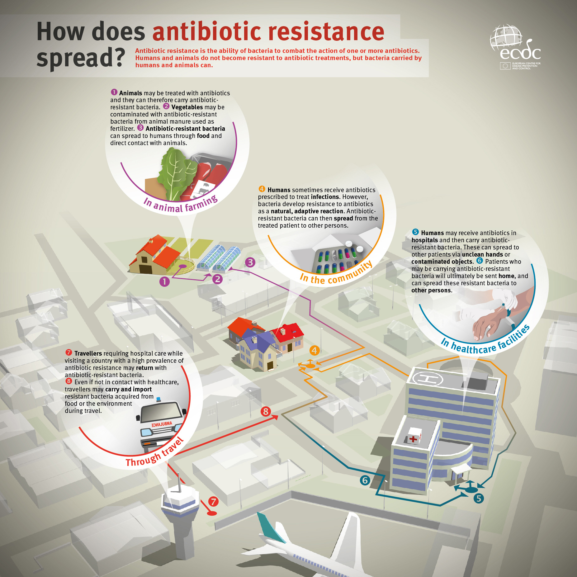 How Does Antibiotic Resistance Spread 