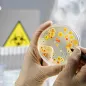 Infectious disease - Microbiology