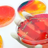 Antimicrobial resistance. © Istockphoto