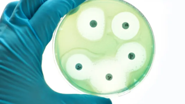 Antimicrobial resistance