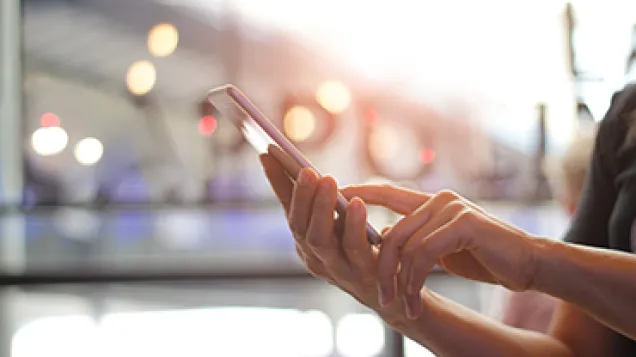 Person checking their phone