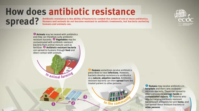 Antibiotic resistance small