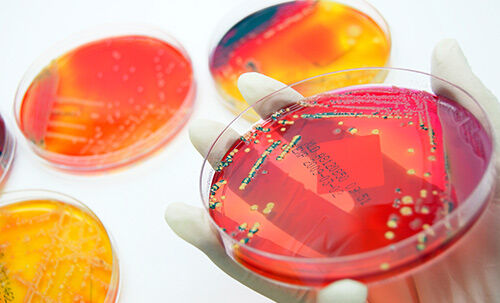 Antimicrobial resistance. © Istockphoto