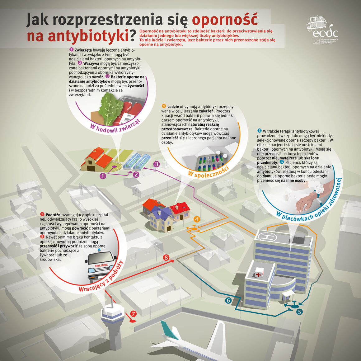 Jak rozprzestrzenia sie opornosc na antybiotyki?