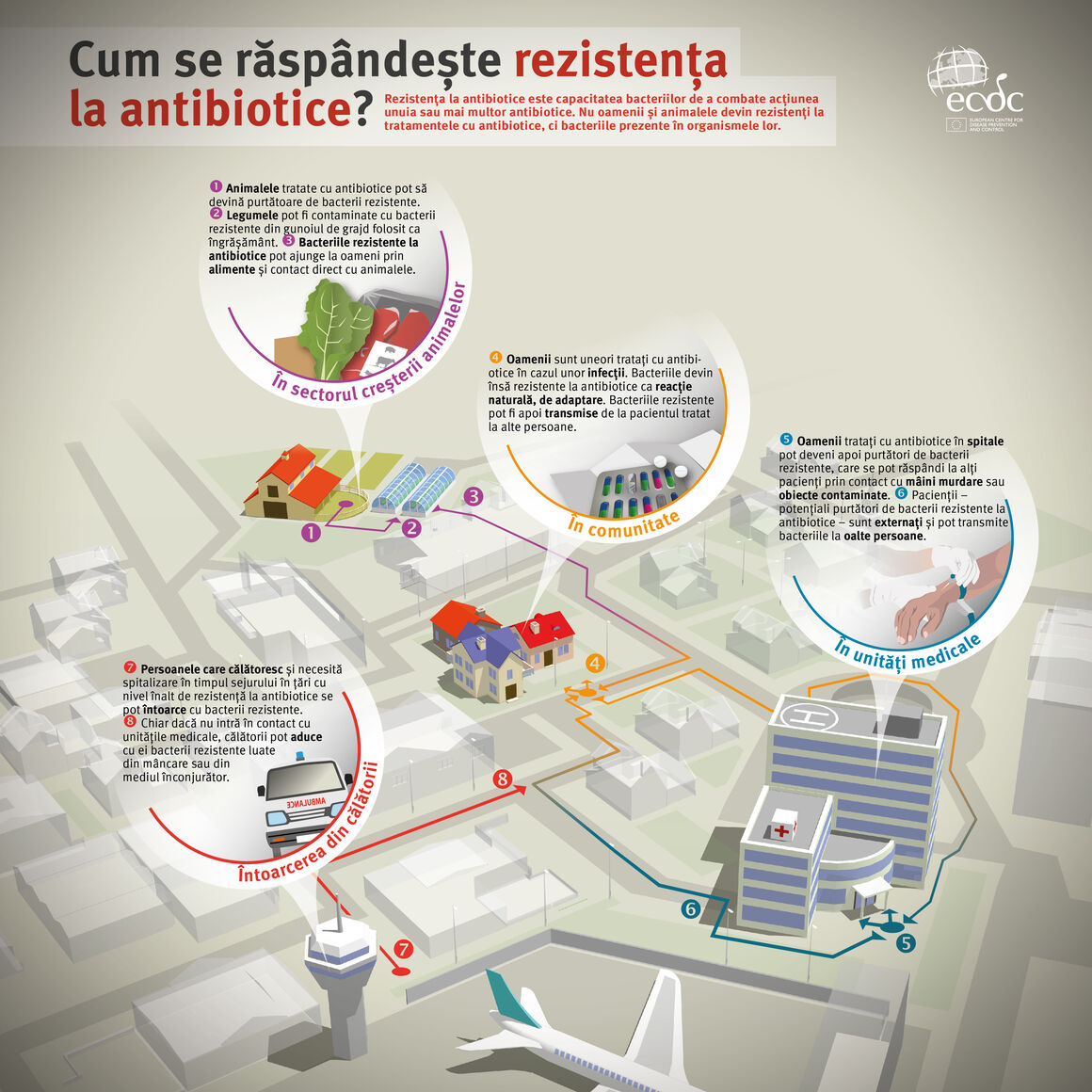 Cum se raspândește rezistența la antibiotice?
