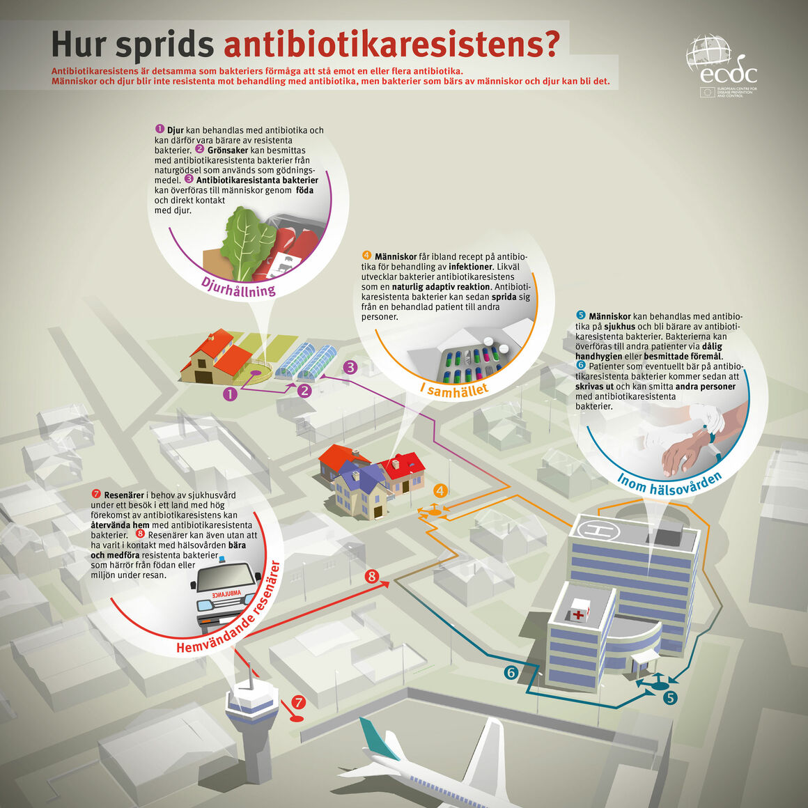 Hur sprids antibiotikaresistens?