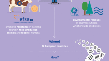 We work together to fight antibiotic resistance keeping Europeans healthy - joint EMA/ECDC/EFSA/EEA infographic