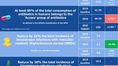 Antibiotic resistance - EU targets factsheet 2025