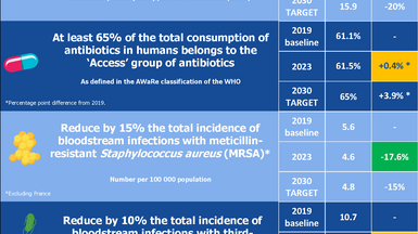 Infographic: Antimicrobial resistance targets - how is the EU doing?